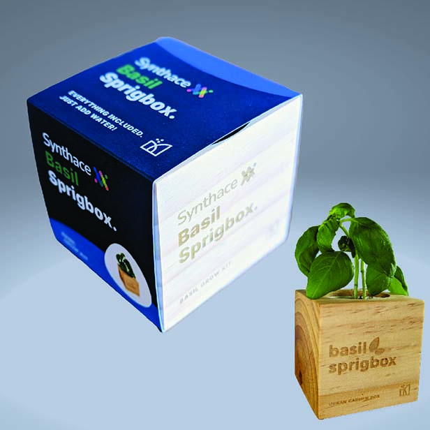 Basil Grow Kit