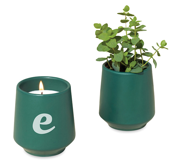 candle and plant