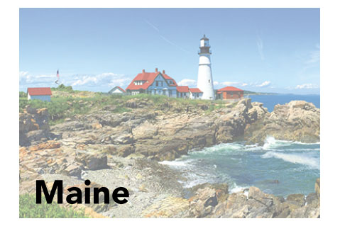 Maine State Promotional Product Sales Data