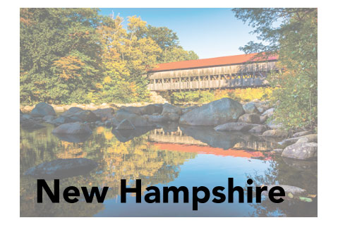 New Hampshire State Promotional Product Sales Data