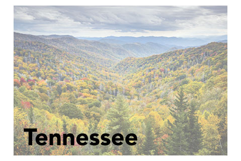 Tennessee State Promotional Product Sales Data