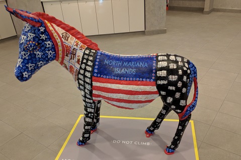 DNC Donkey Scavenger Hunt Includes T-shirt Prize