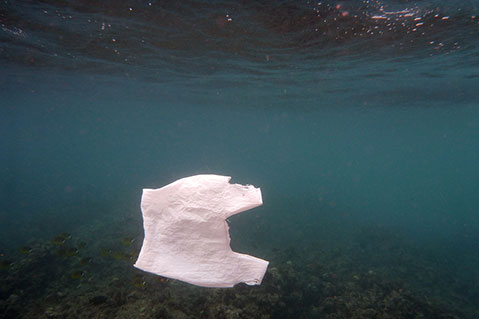 Plastic Bag Restrictions Tighten in Honolulu