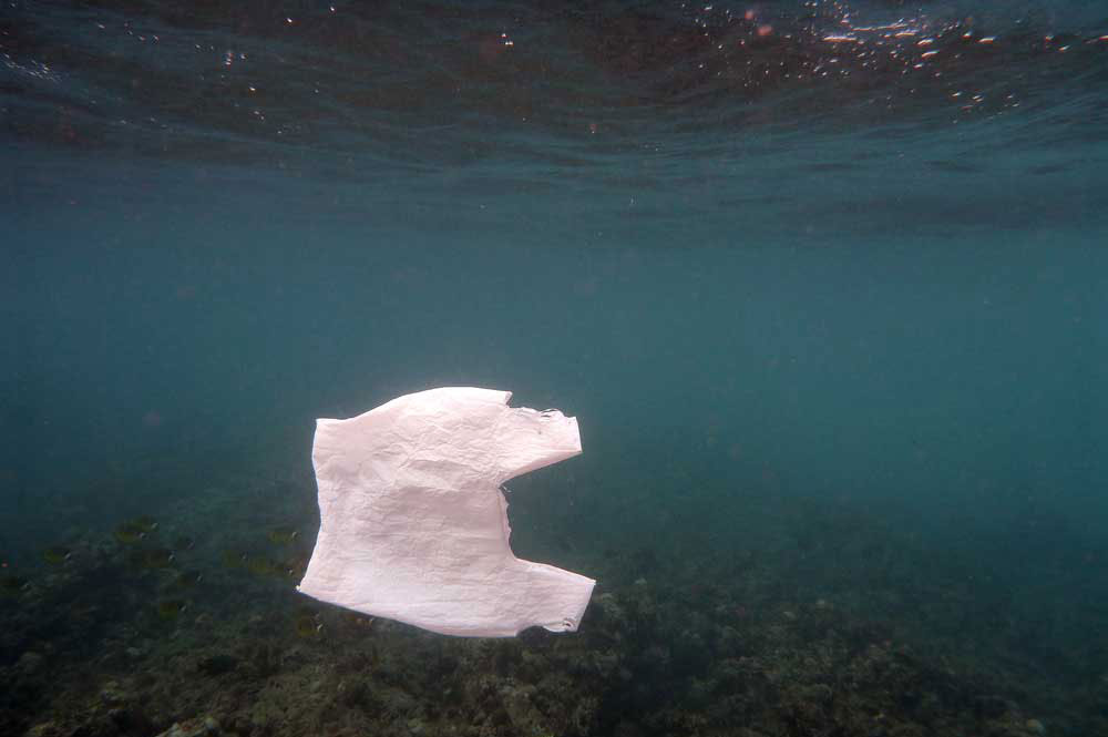 Plastic Bag Restrictions Tighten in Honolulu