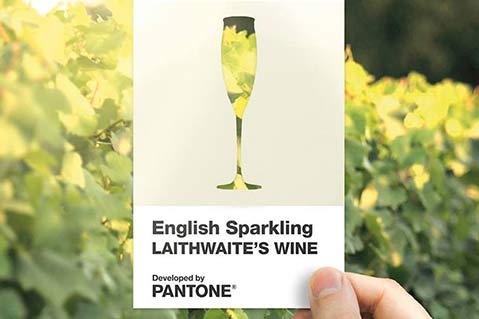 Pantone Creates New Wine-Inspired Color