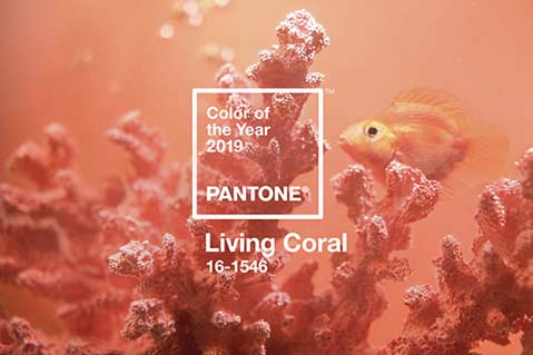 Coral Reefs Inspire 2019 Color of the Year