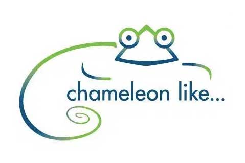 Chameleon Like Launches Custom Packaging, Gift Box Line