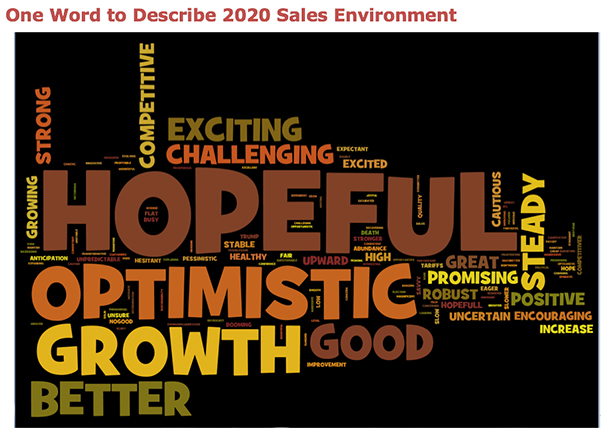 Words to describe 2020 sales environment