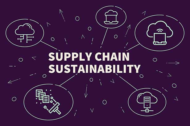 Supply Chain Sustainability