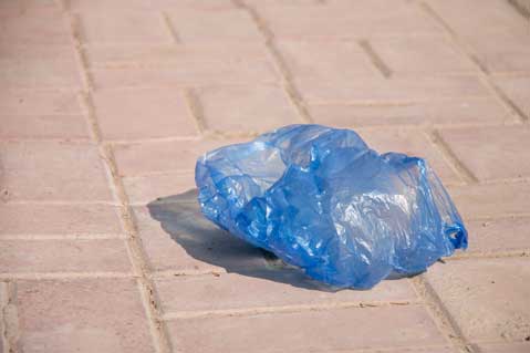 Nova Scotia Wants to Ban Plastic Bags