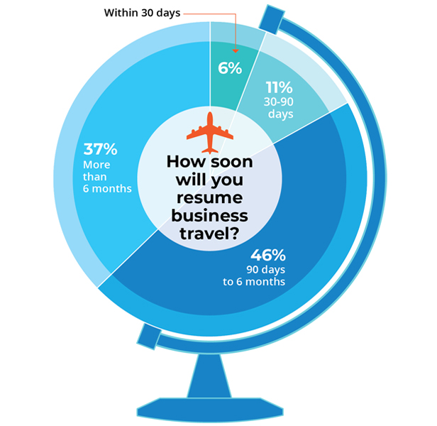 Travel pie chart