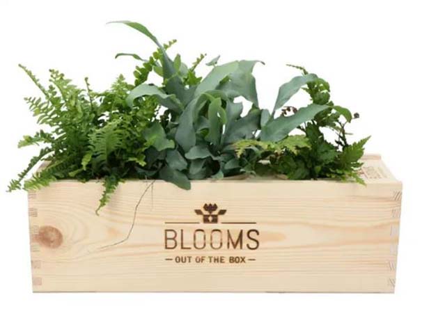 A planter from Blooms Out of the Box