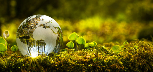 glass glove in green space, conservation