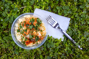 salad, fork and napkin on grass, overhead view