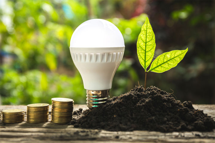 lightbulb in dirt next to plant and coins