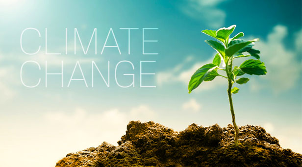 Climate Change next to plant