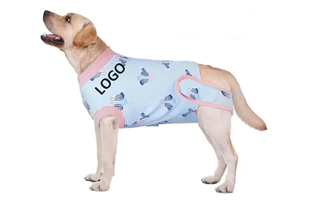 dog surgery recovery suit