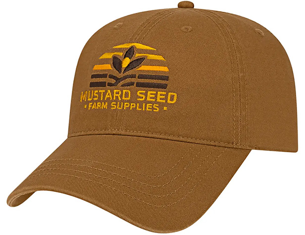 classic dad cap
