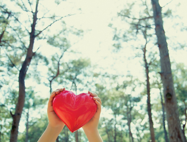 hands holding red heart against forest background