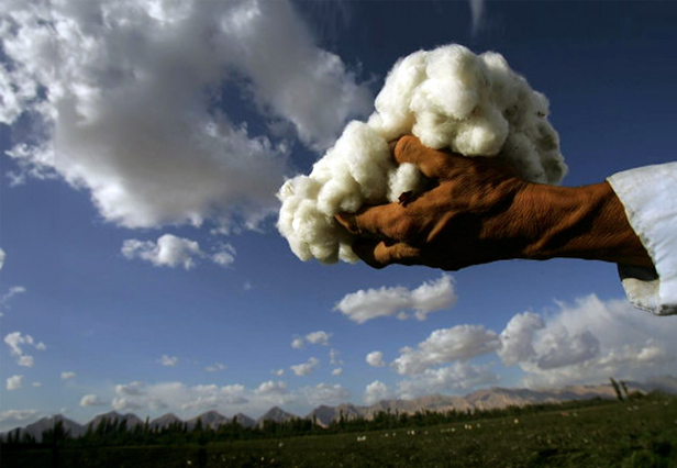 hand holding cotton