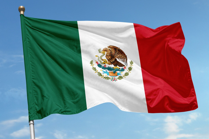 Mexico Imposes Tariffs on China To Curb ‘Back Door’ to U.S. Market