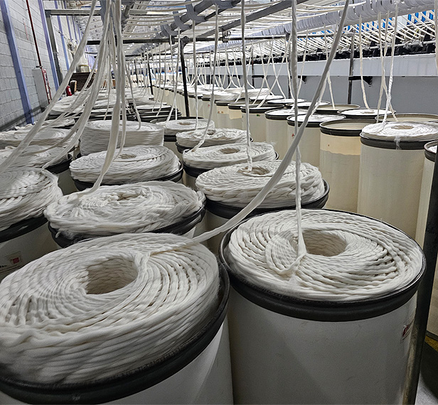 Cotton fibers spun into yarn