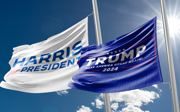 Harris and Trump flags waving against blue sky