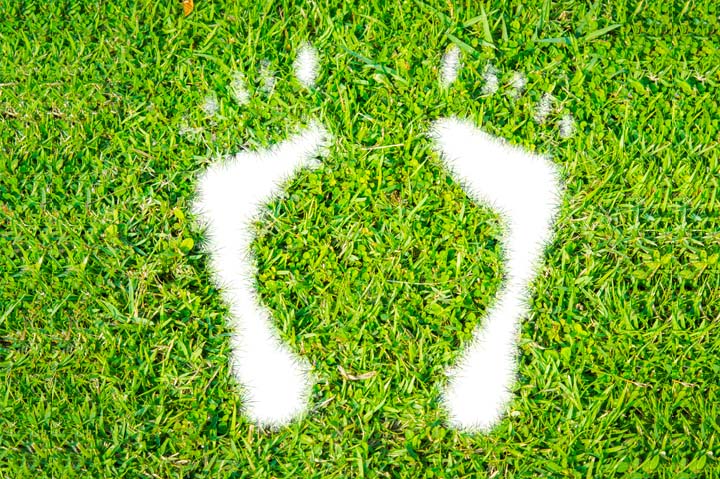 carbon footprint on green grass