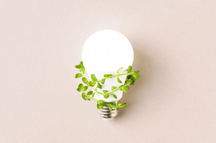 Warwick Publishing Completes Major Energy-Efficiency Initiative