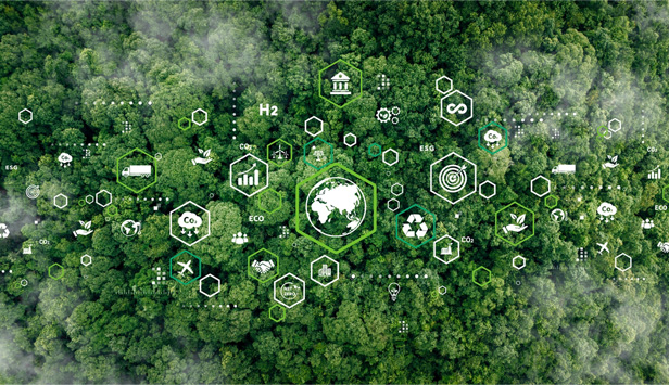 Sustainability Artwork