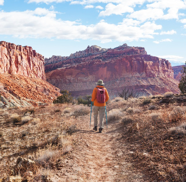National Park Stock Image