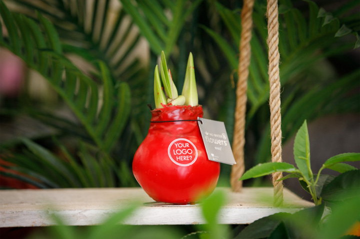 Dutch Supplier Promoplants Offers Green Spin on Live Printing