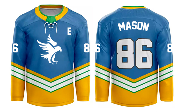 ice hockey jersey