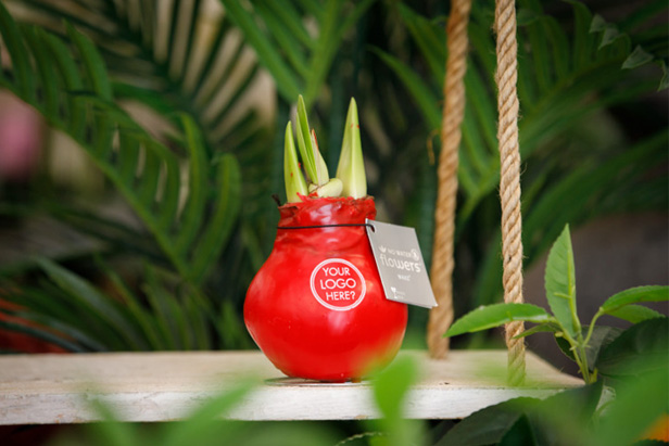 promo plant