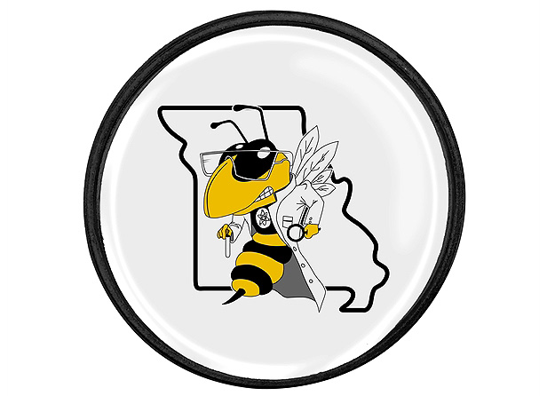 lapel pins